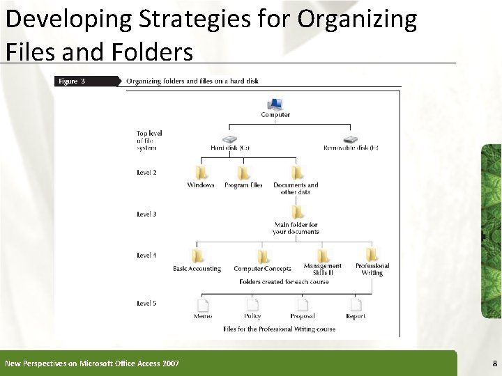 Developing Strategies for Organizing Files and Folders New Perspectives on Microsoft Office Access 2007