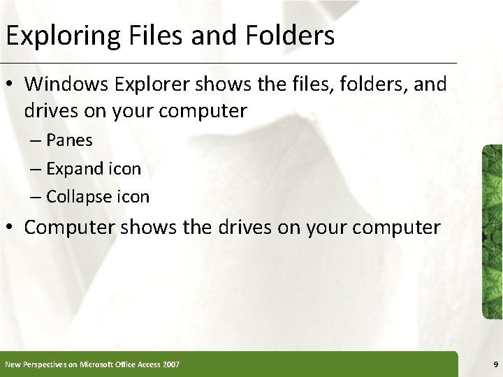 Exploring Files and Folders • Windows Explorer shows the files, folders, and drives on