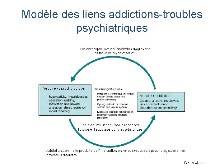 Modèle des liens addictions-troubles psychiatriques Pani et al. 2010 