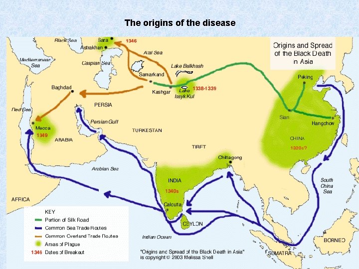 The origins of the disease 