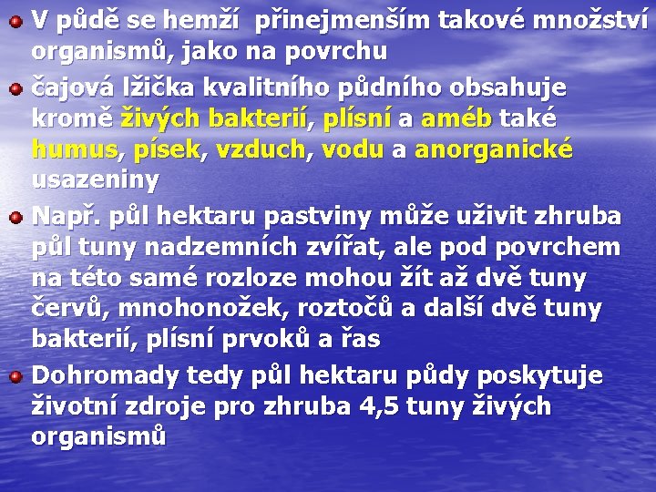 V půdě se hemží přinejmenším takové množství organismů, jako na povrchu čajová lžička kvalitního
