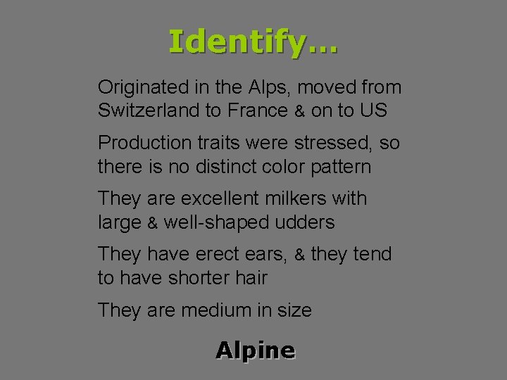 Identify… Originated in the Alps, moved from Switzerland to France & on to US