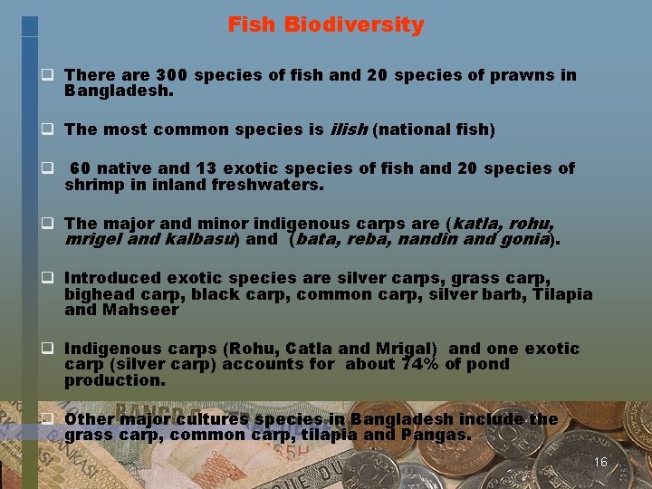 Fish Biodiversity q There are 300 species of fish and 20 species of prawns