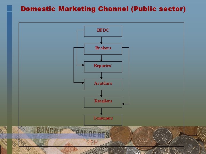 Domestic Marketing Channel (Public sector) BFDC Brokers Beparies` Aratdars Retailers Consumers 24 