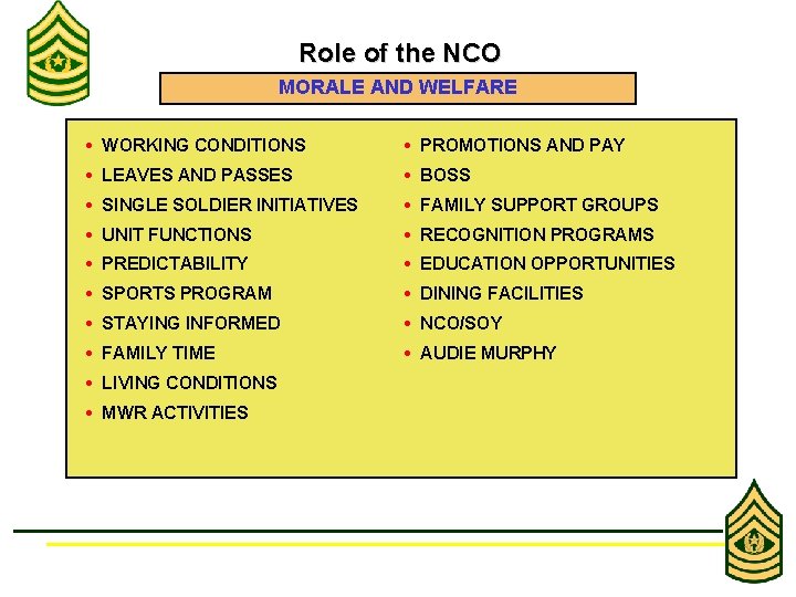 Role of the NCO MORALE AND WELFARE • WORKING CONDITIONS • PROMOTIONS AND PAY