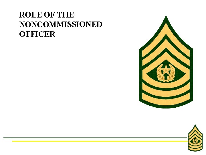 ROLE OF THE NONCOMMISSIONED OFFICER 