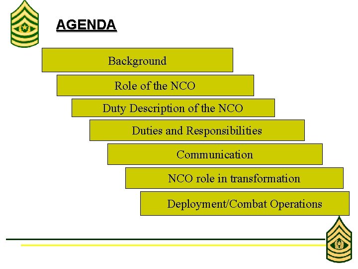 AGENDA Background Role of the NCO Duty Description of the NCO Duties and Responsibilities