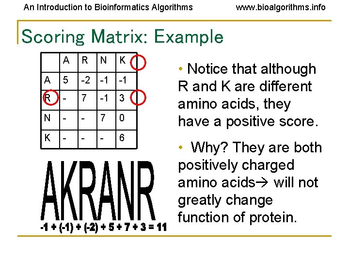 An Introduction to Bioinformatics Algorithms www. bioalgorithms. info Scoring Matrix: Example A R N An Introduction to Bioinformatics Algorithms www. bioalgorithms. info Scoring Matrix: Example A R N