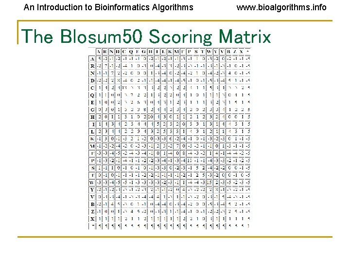 An Introduction to Bioinformatics Algorithms www. bioalgorithms. info The Blosum 50 Scoring Matrix An Introduction to Bioinformatics Algorithms www. bioalgorithms. info The Blosum 50 Scoring Matrix