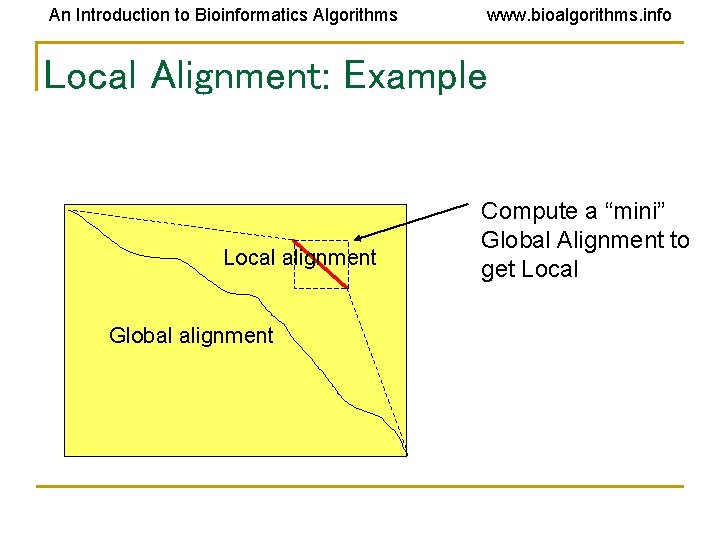 An Introduction to Bioinformatics Algorithms www. bioalgorithms. info Local Alignment: Example Local alignment Global An Introduction to Bioinformatics Algorithms www. bioalgorithms. info Local Alignment: Example Local alignment Global
