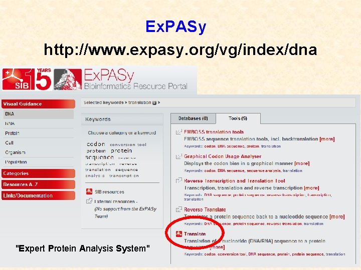 Ex. PASy http: //www. expasy. org/vg/index/dna "Expert Protein Analysis System" 
