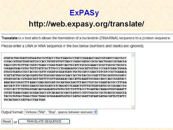 Ex. PASy http: //web. expasy. org/translate/ GTATGCTGGTGATTGTGGATGCCGTTACCCTGCTGAGCGCCTATCCGGAAGCCGTGATCCGGCCGCC CCGACCGTGATGGTCGCCACCTGTATGTTGTTAGCCCGGGCGATGCCGCGCAGCTGGGCCATAACGA TAGCCGTCTGTTTACCGGTCTGAGCCCGGGTGATCAGCTGCATCTGCGCGAAACCGCGCTGCGCG CGGAAGTGAGCGTGCTGTTTATTCGCTTTGCCCTGAAAGATGCCGGCATTGTTGCCCCGATCGAACTGGAA GTGCGTGATGCCGCCACCGCCGTTCCGGATGATCTGCTGCATCCGAGCTGTCGTCCGCTGAAAGA TCATTATTGGCGCAGCGATGTGCTGGCGGCGCGACCACCTGTACCGCCGATTTTGCGGTGTGCGATC GTGATGGCACCGTGAGCGGTTATTTTCGTTGGGAAACCAGCATTGAAATTGCGGGCAGCCGGATACC AAACAGCCGGGCTTTAAACCGAGCAGCGATCGCAATGGCAACTTTAGCCTGCCGCCGAATACCGCCTTTAA