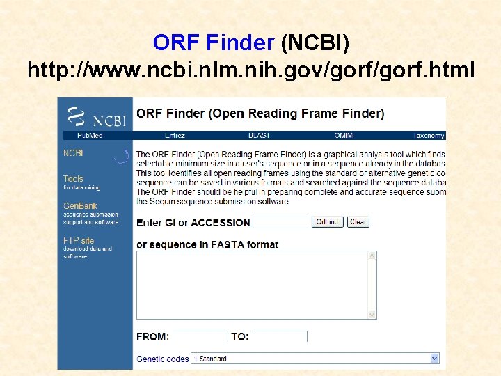 ORF Finder (NCBI) http: //www. ncbi. nlm. nih. gov/gorf. html 