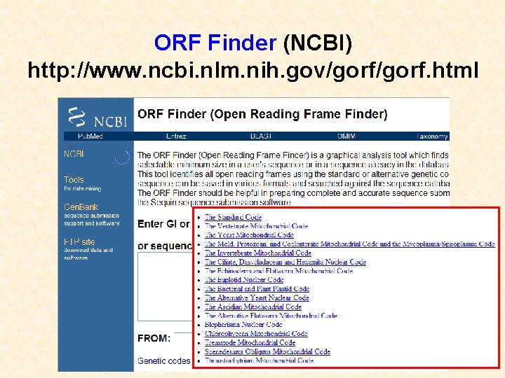 ORF Finder (NCBI) http: //www. ncbi. nlm. nih. gov/gorf. html 