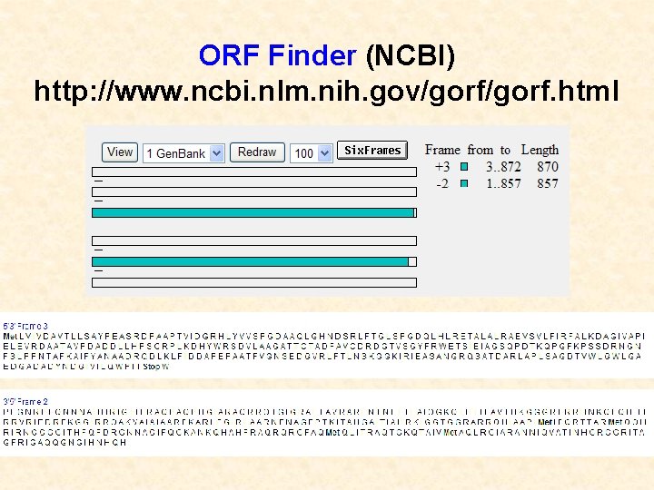 ORF Finder (NCBI) http: //www. ncbi. nlm. nih. gov/gorf. html 