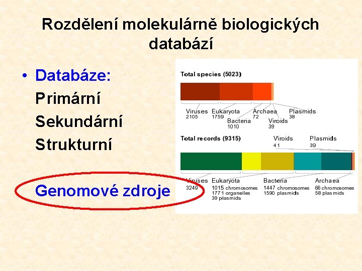 Rozdělení molekulárně biologických databází • Databáze: Primární Sekundární Strukturní Genomové zdroje 