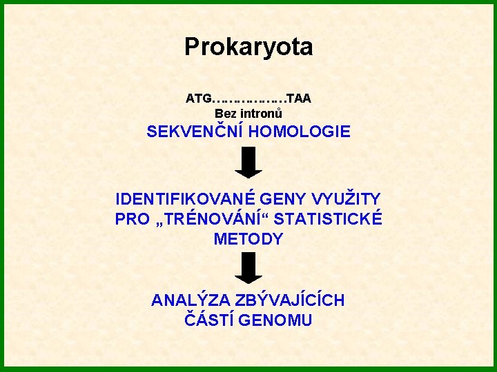 Prokaryota ATG………………TAA Bez intronů SEKVENČNÍ HOMOLOGIE IDENTIFIKOVANÉ GENY VYUŽITY PRO „TRÉNOVÁNÍ“ STATISTICKÉ METODY ANALÝZA