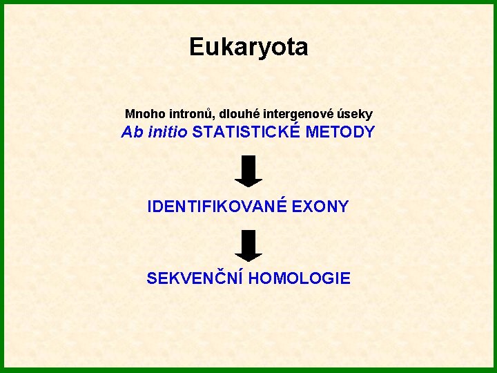 Eukaryota Mnoho intronů, dlouhé intergenové úseky Ab initio STATISTICKÉ METODY IDENTIFIKOVANÉ EXONY SEKVENČNÍ HOMOLOGIE