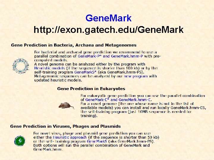 Gene. Mark http: //exon. gatech. edu/Gene. Mark 