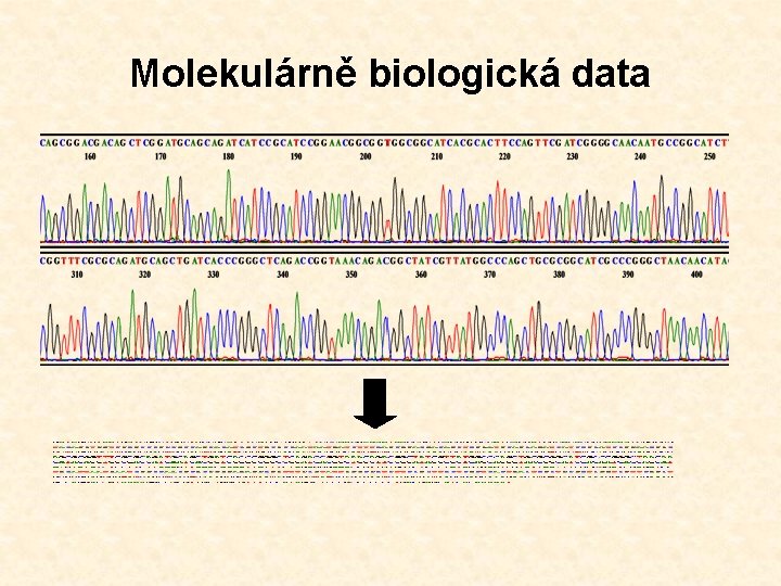 Molekulárně biologická data 