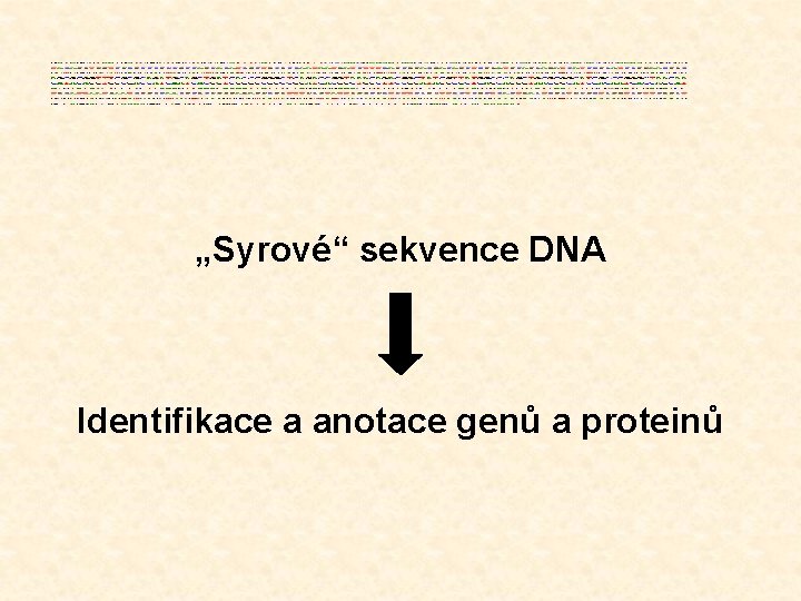 „Syrové“ sekvence DNA Identifikace a anotace genů a proteinů 