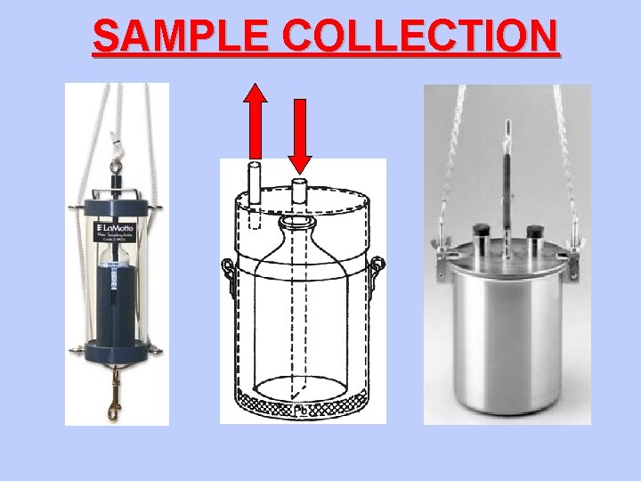 SAMPLE COLLECTION 