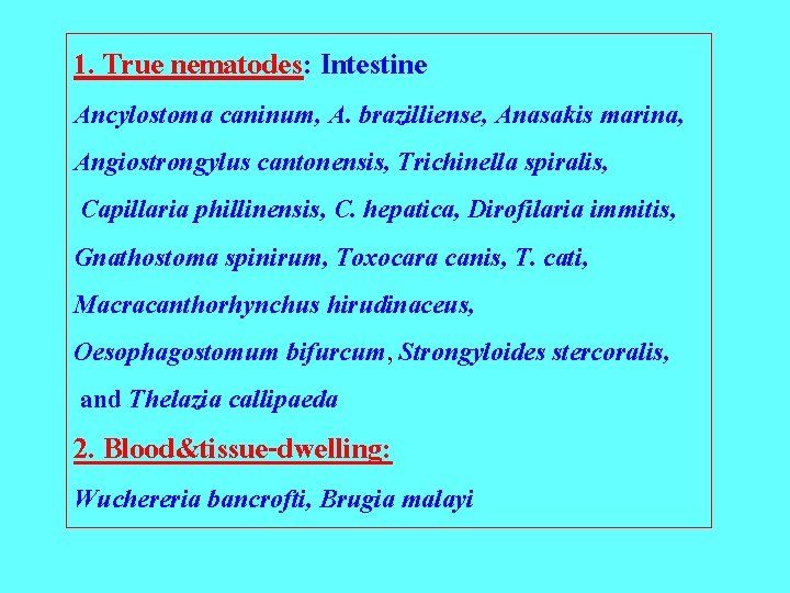 1. True nematodes: Intestine Ancylostoma caninum, A. brazilliense, Anasakis marina, Angiostrongylus cantonensis, Trichinella spiralis,