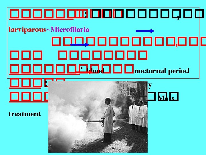 ����� �: ������ , larviparous~Microfilaria ������� , �������� : blood nocturnal period ����� :