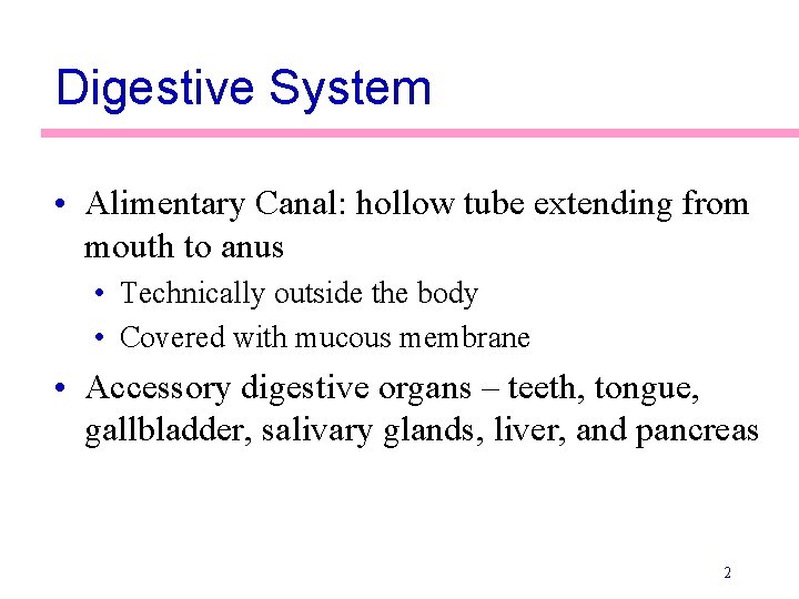 Digestive System • Alimentary Canal: hollow tube extending from mouth to anus • Technically