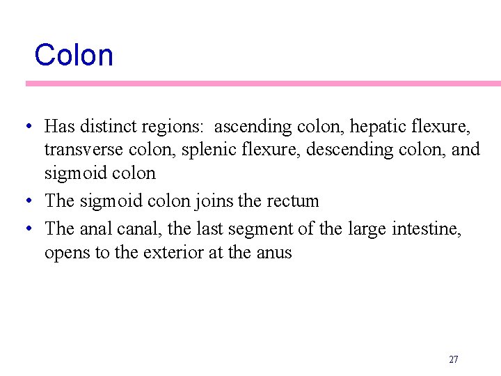 Colon • Has distinct regions: ascending colon, hepatic flexure, transverse colon, splenic flexure, descending Colon • Has distinct regions: ascending colon, hepatic flexure, transverse colon, splenic flexure, descending