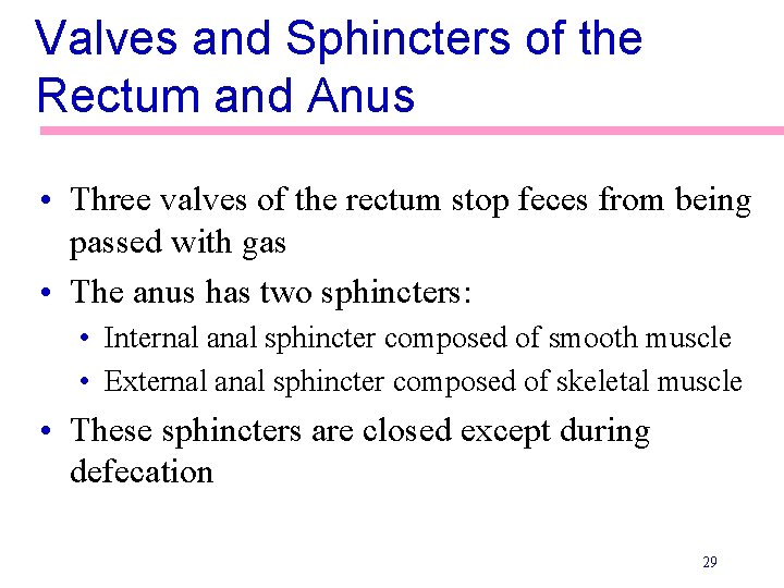 Valves and Sphincters of the Rectum and Anus • Three valves of the rectum