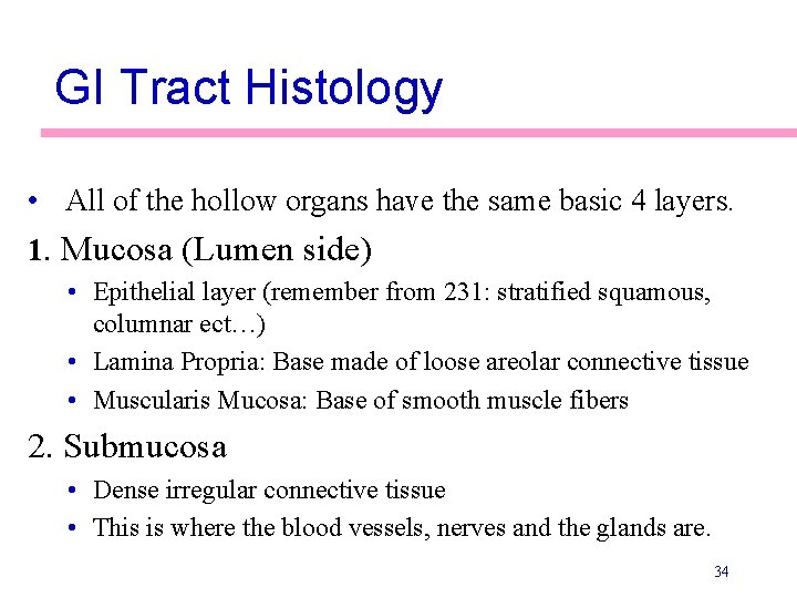 GI Tract Histology • All of the hollow organs have the same basic 4