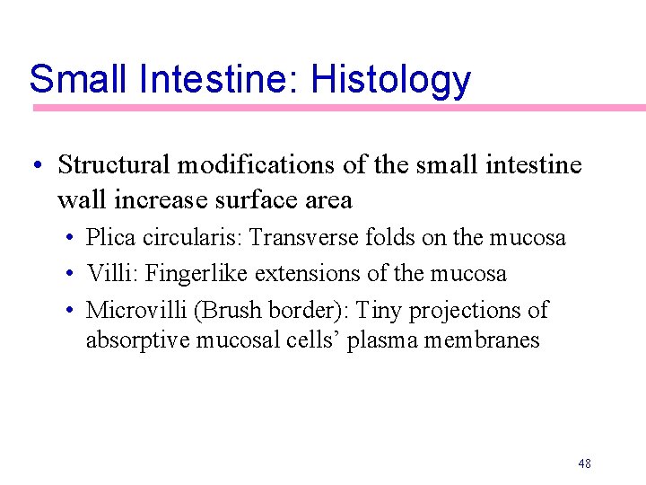 Small Intestine: Histology • Structural modifications of the small intestine wall increase surface area