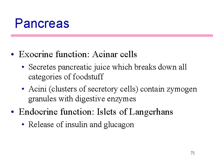 Pancreas • Exocrine function: Acinar cells • Secretes pancreatic juice which breaks down all