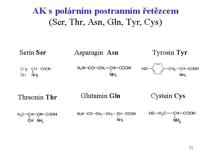 AK s polárním postranním řetězcem (Ser, Thr, Asn, Gln, Tyr, Cys) Serin Ser Threonin