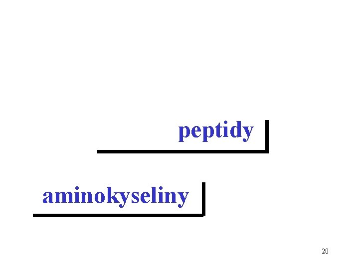 peptidy aminokyseliny 20 