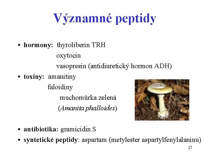 Významné peptidy • hormony: thyroliberin TRH oxytocin vasopresin (antidiuretický hormon ADH) • toxiny: amanitiny