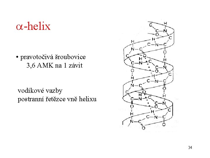 a-helix • pravotočivá šroubovice 3, 6 AMK na 1 závit vodíkové vazby postranní řetězce