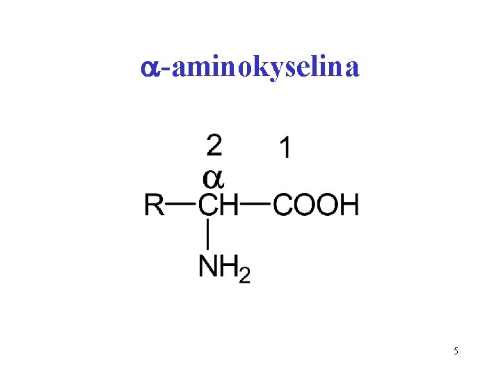 a-aminokyselina 5 
