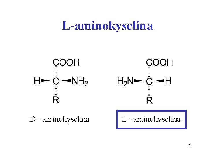L-aminokyselina D - aminokyselina L - aminokyselina 6 