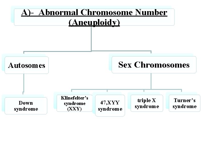 A)- Abnormal Chromosome Number (Aneuploidy) Sex Chromosomes Autosomes Down syndrome Klinefelter’s syndrome (XXY) 47,