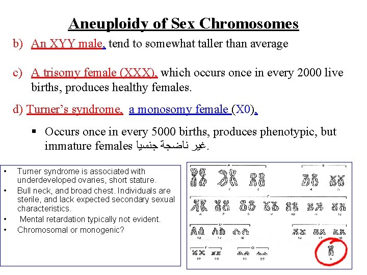 Aneuploidy of Sex Chromosomes b) An XYY male, tend to somewhat taller than average