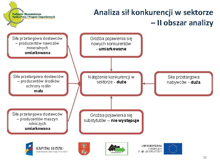 Analiza sił konkurencji w sektorze – II obszar analizy Siła przetargowa dostawców – producentów