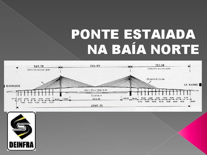 PONTE ESTAIADA NA BAÍA NORTE 