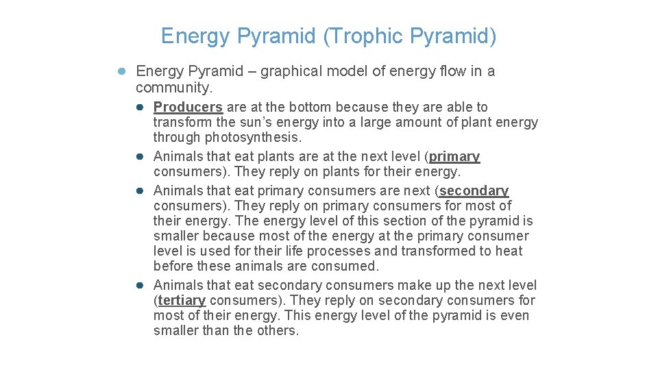 Energy Pyramid (Trophic Pyramid) ● Energy Pyramid – graphical model of energy flow in
