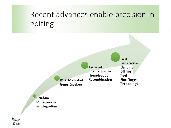 Recent advances enable precision in editing RNAi Mediated Gene Knockout Random Mutagenesis & Integration