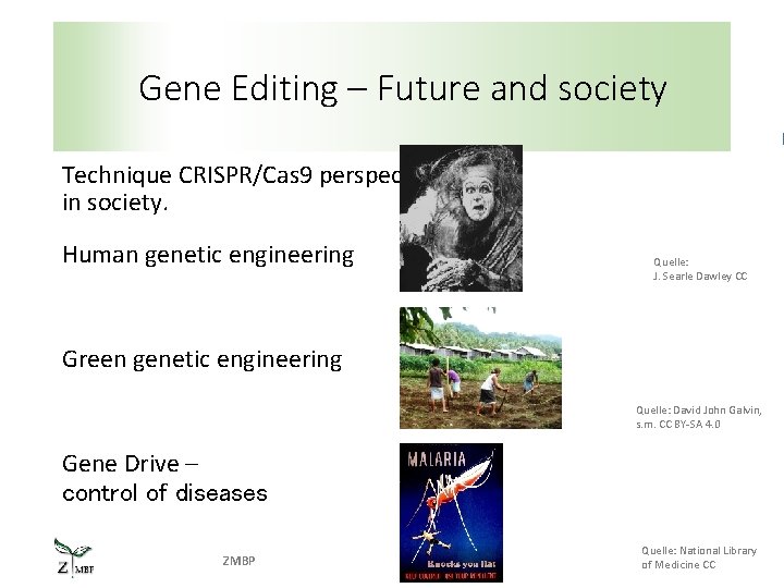 Gene Editing – Future and society Technique CRISPR/Cas 9 perspectives in society. Human genetic