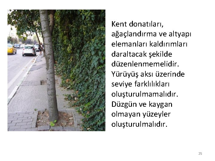 Kent donatıları, ağaçlandırma ve altyapı elemanları kaldırımları daraltacak şekilde düzenlenmemelidir. Yürüyüş aksı üzerinde seviye