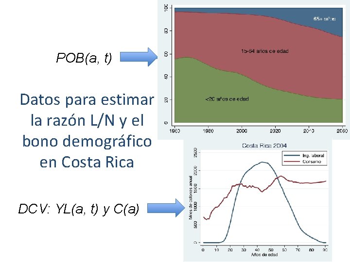 POB(a, t) Datos para estimar la razón L/N y el bono demográfico en Costa