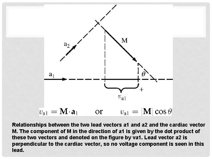 Relationships between the two lead vectors a 1 and a 2 and the cardiac